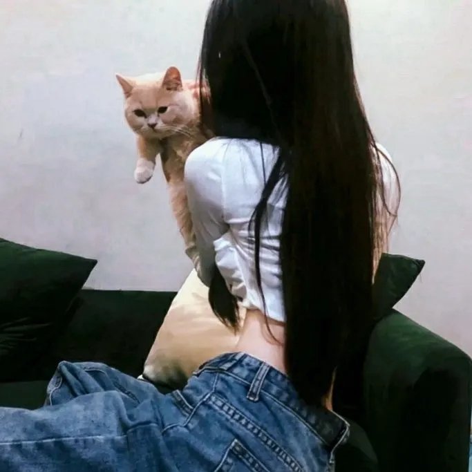 布里叶女士 海报